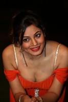 Shilpi Sharma Spicy Photos